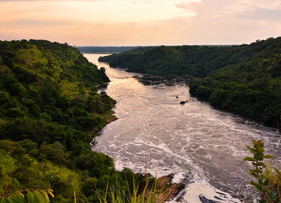Perle in Uganda: Der weisse Nil