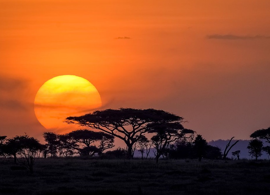Serengeti – fast so gross wie die Schweiz
