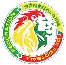 Idrissa Gueye macht aus Senegal das Spanien des Afrika Cups
