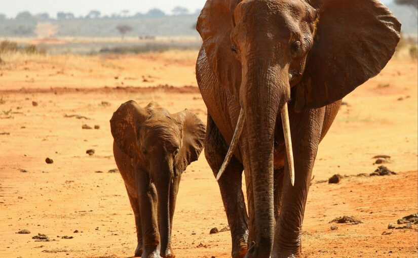 „Alles kann ich durch Christus, der mir Kraft und Stärke gibt.“
