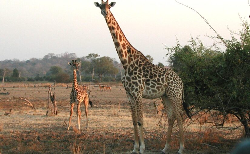 Du bist geplant und gewollt!